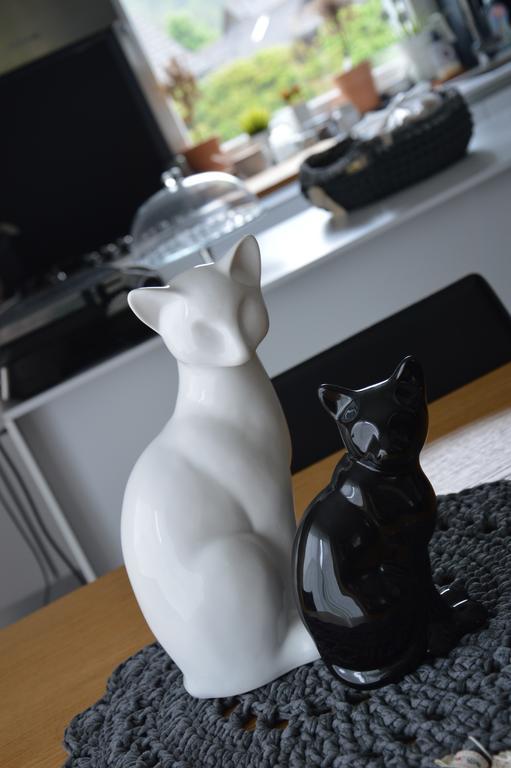クランスカゴーラA Modern Flatアパートメント エクステリア 写真